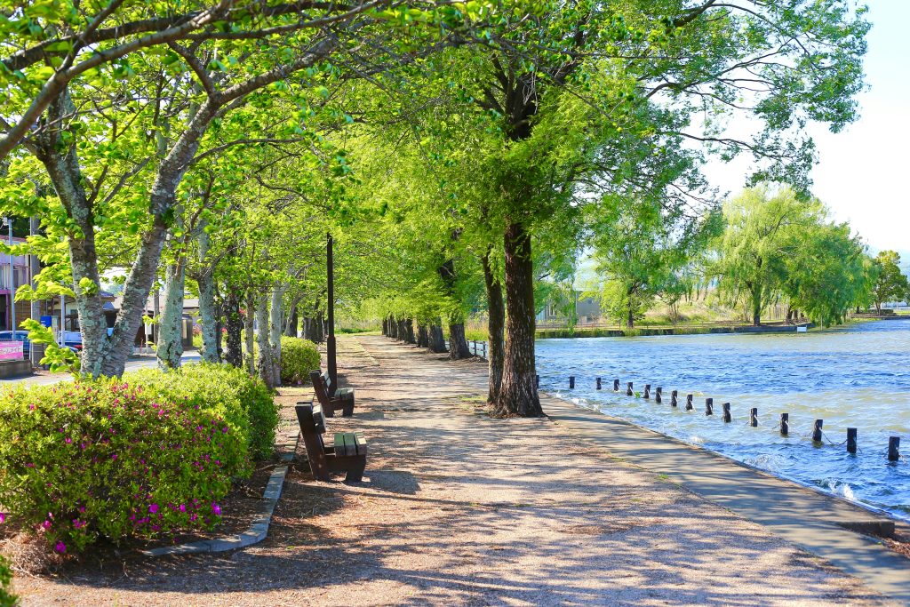 Featured image for the Is Springfield, MO a Good Place to Live Top Reasons Explained Blog Article