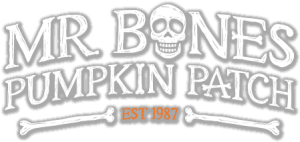 Mr Bones Pumpkin Patch: A Beloved Local Tradition