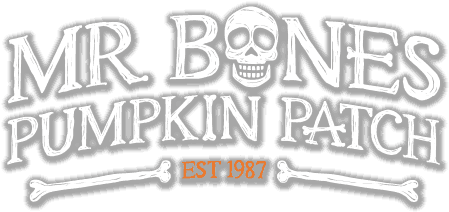 Featured image for the Mr Bones Pumpkin Patch A Beloved Local Tradition Blog Article